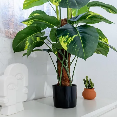 32 Bright Copacabana Ocean View Free Wifi * Costa Adeje