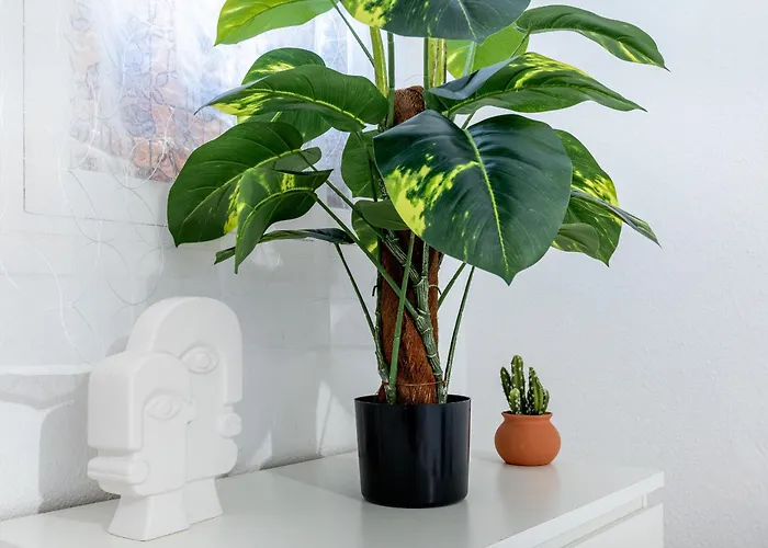 32 Bright Copacabana Ocean View Free Wifi * アデヘ